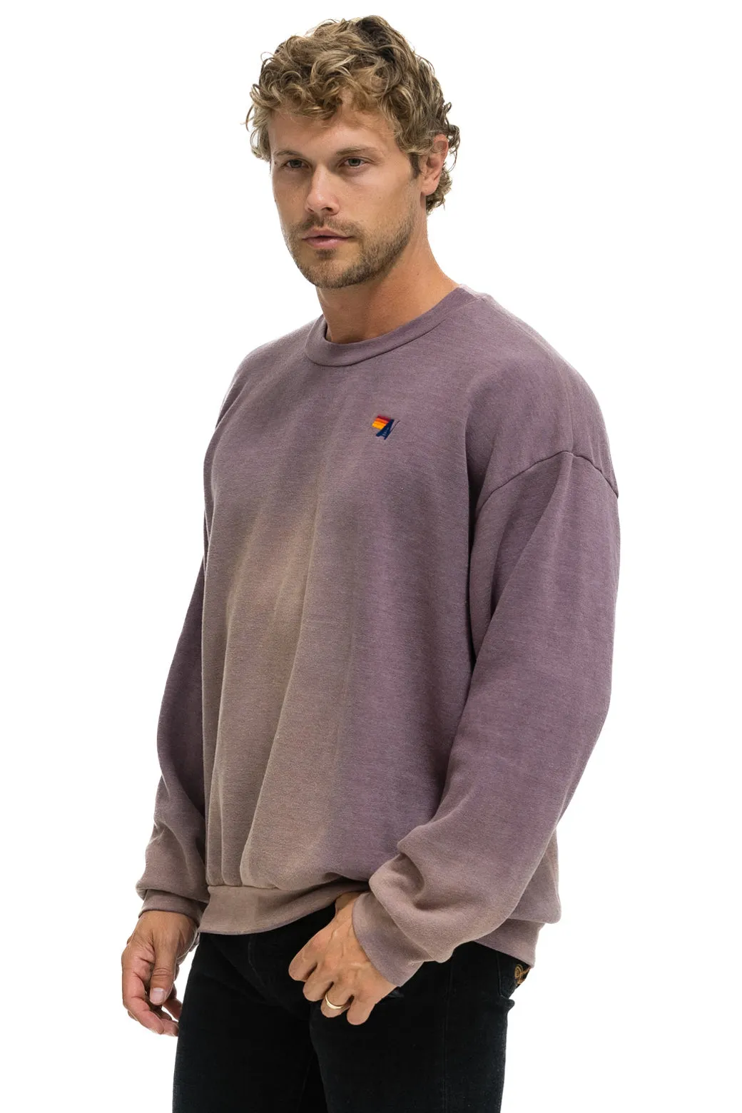 ESSENTIAL RELAXED CREW SWEATSHIRT - FADED MOCHA sold by Aviator Nation product image thumbnail 4