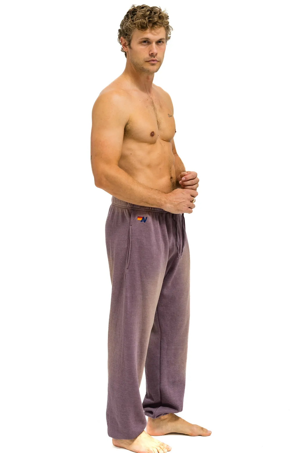 ESSENTIAL SWEATPANTS - FADED MOCHA sold by Aviator Nation product image thumbnail 2