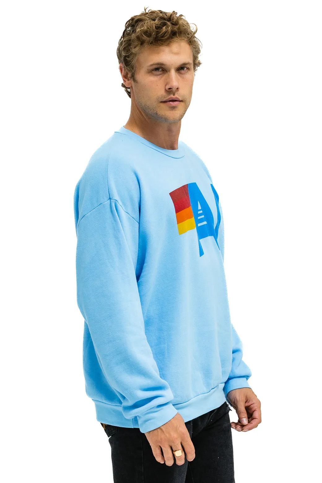 LOGO RELAXED CREW SWEATSHIRT - SKY sold by Aviator Nation product image thumbnail 4