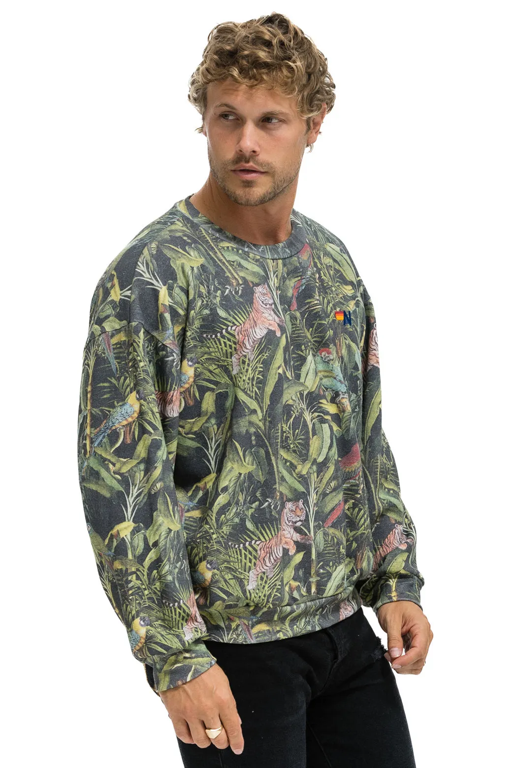 JUNGLE RELAXED CREW SWEATSHIRT - VINTAGE CHARCOAL sold by Aviator Nation product image thumbnail 4