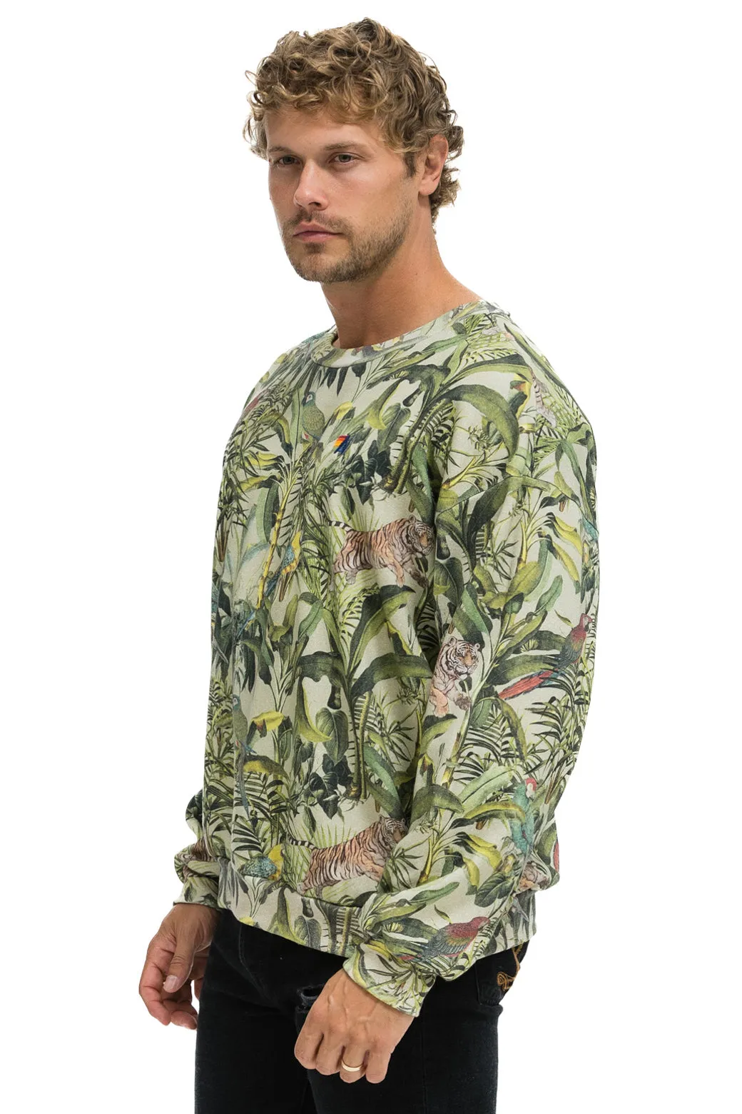 JUNGLE RELAXED CREW SWEATSHIRT - SAND sold by Aviator Nation product image thumbnail 4