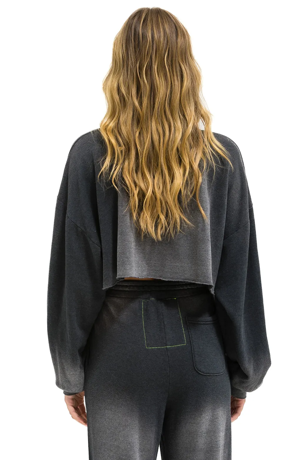 AN 3D CROPPED CREW SWEATSHIRT RELAXED - FADED SMOKE sold by Aviator Nation product image thumbnail 5