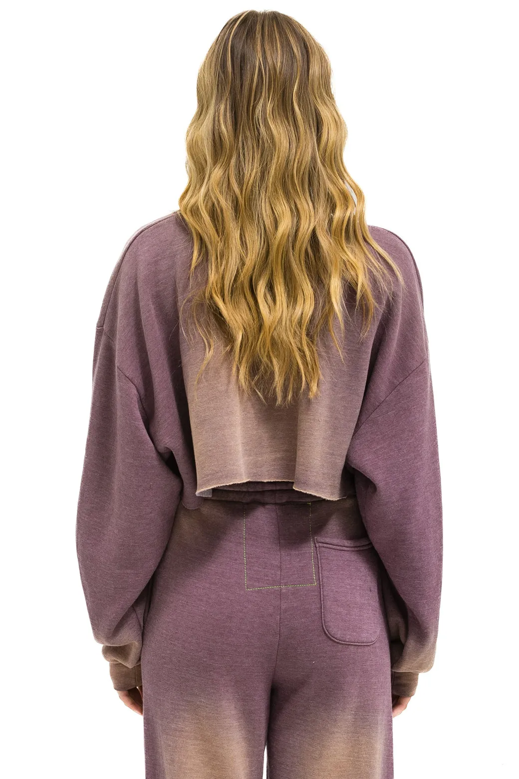 AN 3D CROPPED CREW SWEATSHIRT RELAXED - FADED MOCHA sold by Aviator Nation product image thumbnail 4