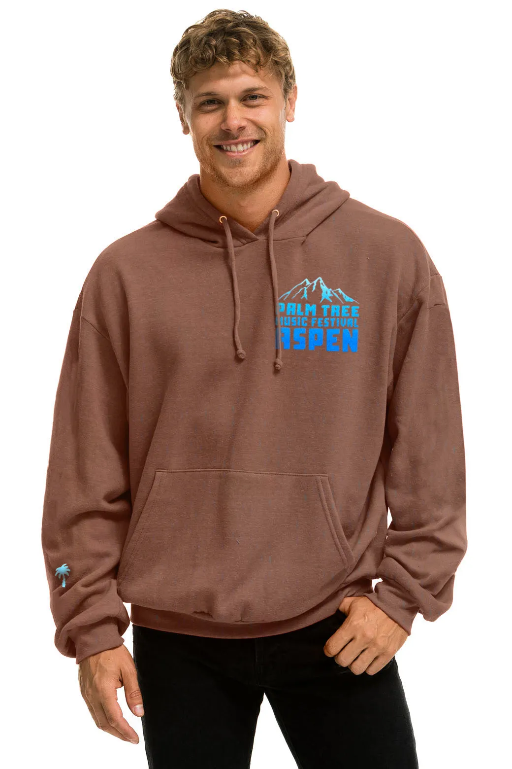 PALM TREE FESTIVAL ASPEN 2025 PULLOVER HOODIE RELAXED - BROWN sold by Aviator Nation product image thumbnail 2
