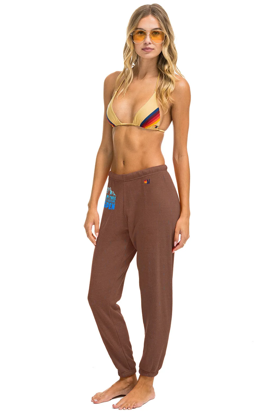 PALM TREE FESTIVAL ASPEN 2025 UNISEX SWEATPANTS - BROWN sold by Aviator Nation product image thumbnail 2