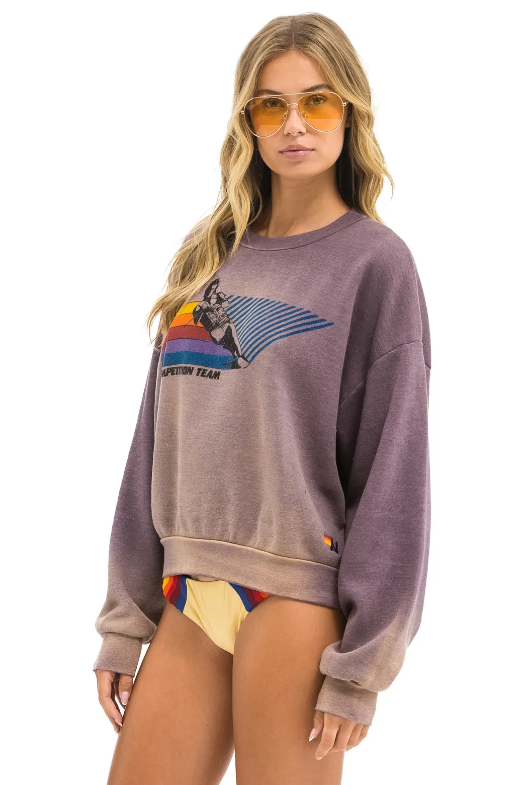 WATER SKIER RELAXED CREW SWEATSHIRT - FADED MOCHA sold by Aviator Nation product image thumbnail 3