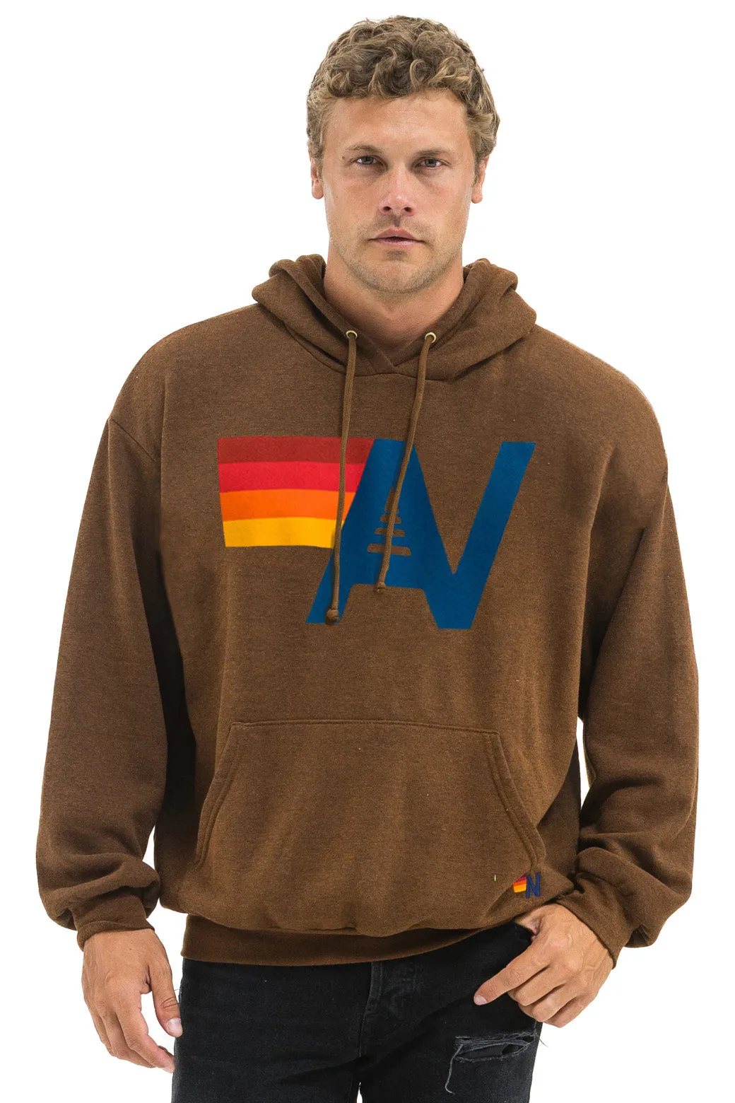 LOGO PULLOVER RELAXED HOODIE - CHOCOLATE sold by Aviator Nation product image thumbnail 2
