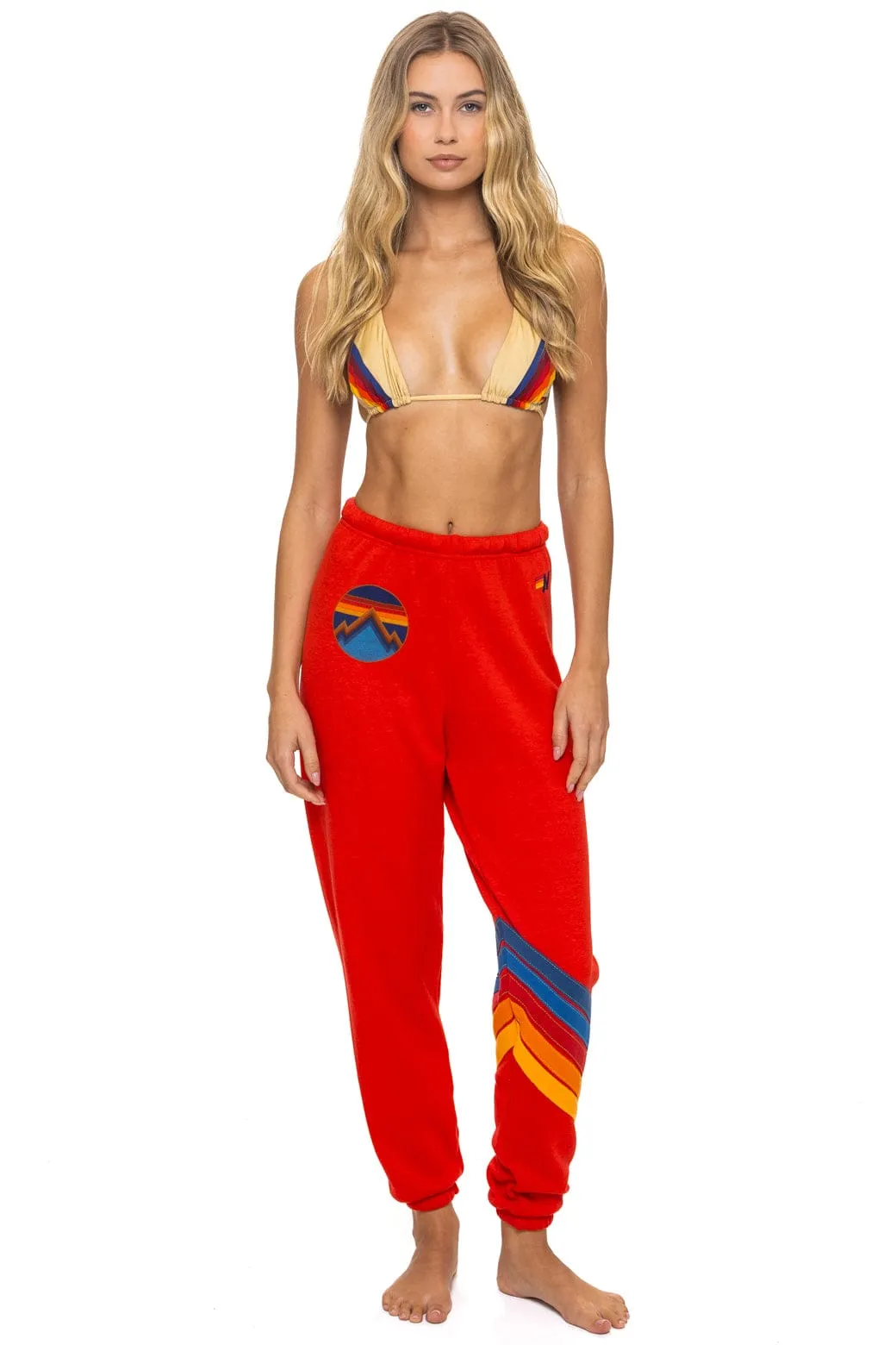 ALL SEASONS CIRCLE CHEVRON SWEATPANTS - RED sold by Aviator Nation product image thumbnail 5