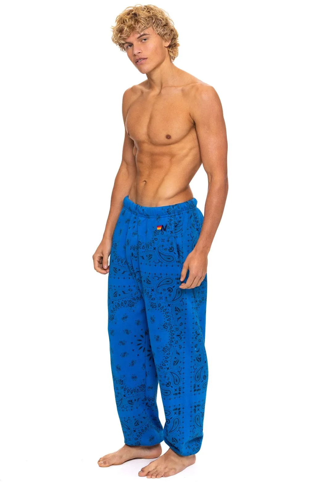 BANDANA SWEATPANTS - ADVENTURE BLUE sold by Aviator Nation product image thumbnail 2