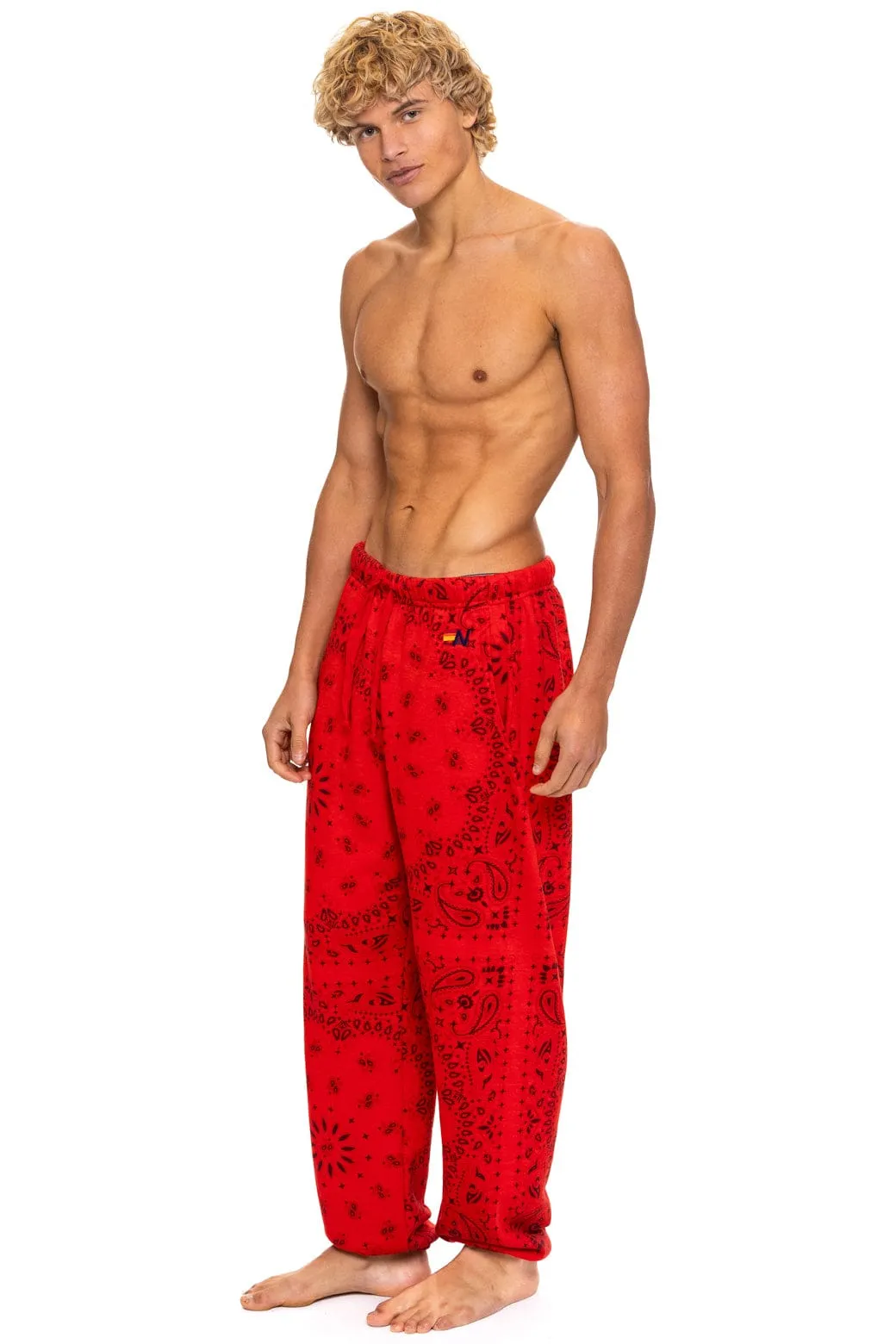 BANDANA SWEATPANTS - RED sold by Aviator Nation product image thumbnail 3