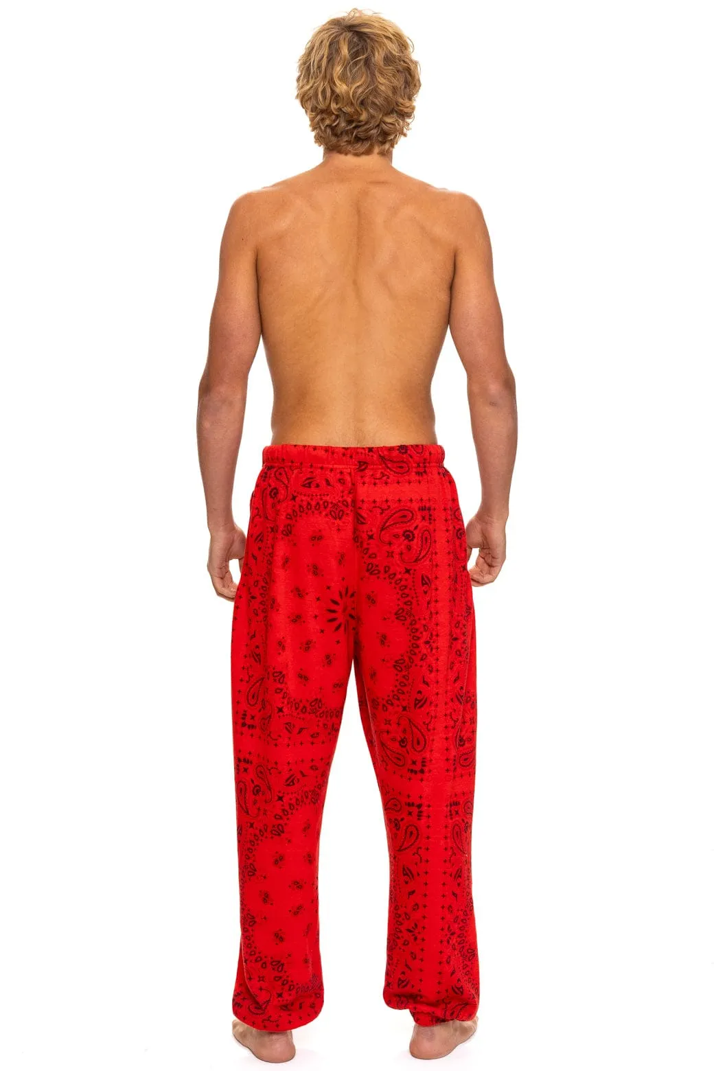 BANDANA SWEATPANTS - RED sold by Aviator Nation product image thumbnail 4