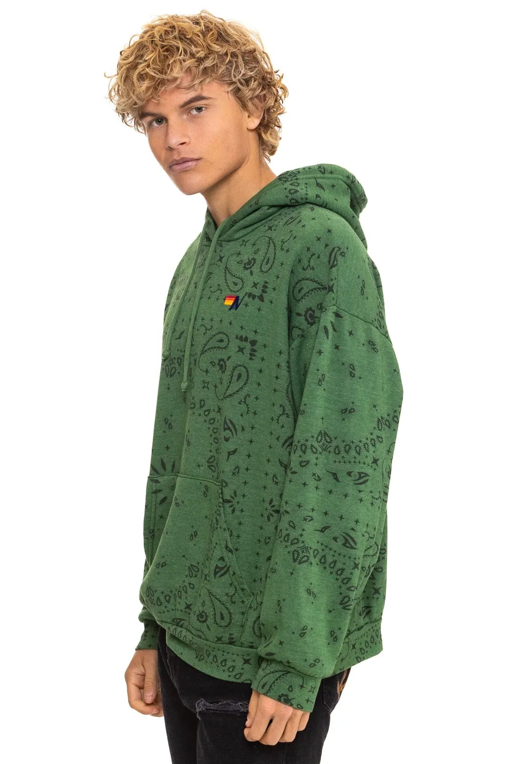 BANDANA RELAXED PULLOVER HOODIE - PALM sold by Aviator Nation product image thumbnail 4