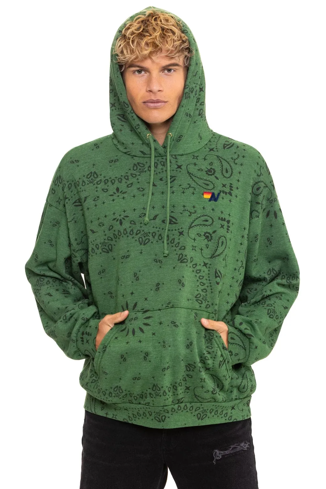 BANDANA RELAXED PULLOVER HOODIE - PALM sold by Aviator Nation product image thumbnail 2