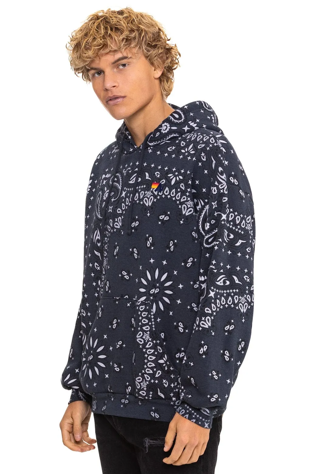 BANDANA RELAXED PULLOVER HOODIE - CHARCOAL sold by Aviator Nation product image thumbnail 4