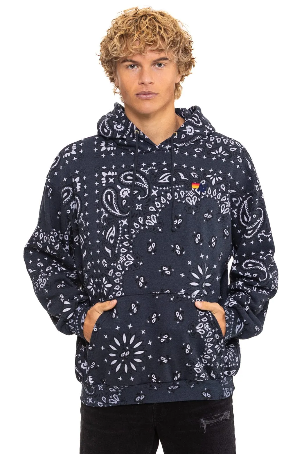 BANDANA RELAXED PULLOVER HOODIE - CHARCOAL sold by Aviator Nation product image thumbnail 2
