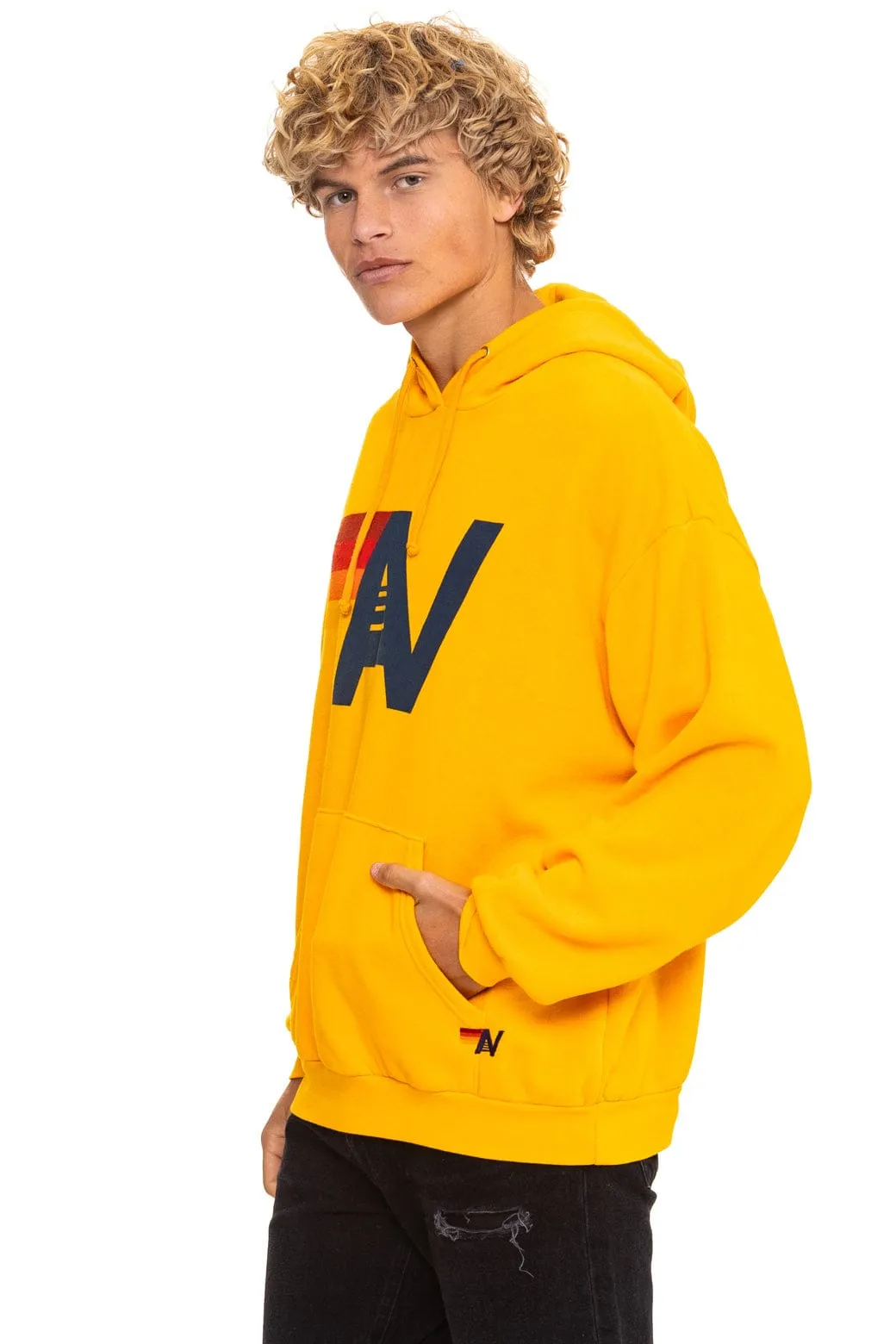 LOGO PULLOVER RELAXED HOODIE - GOLD sold by Aviator Nation product image thumbnail 4