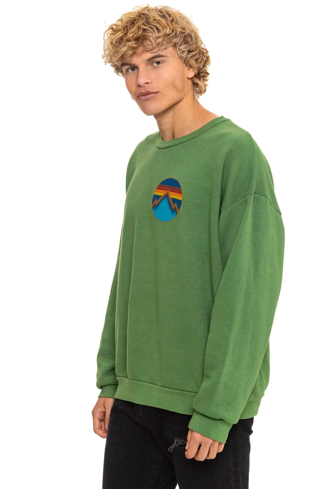 ALL SEASONS CIRCLE RELAXED CREW SWEATSHIRT - PALM sold by Aviator Nation product image thumbnail 4