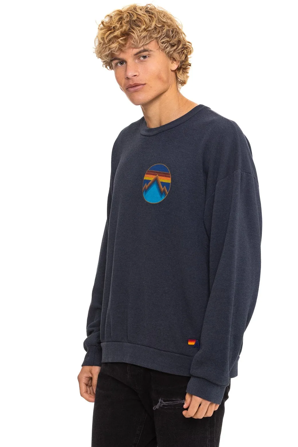 ALL SEASONS CIRCLE RELAXED CREW SWEATSHIRT - CHARCOAL sold by Aviator Nation product image thumbnail 4