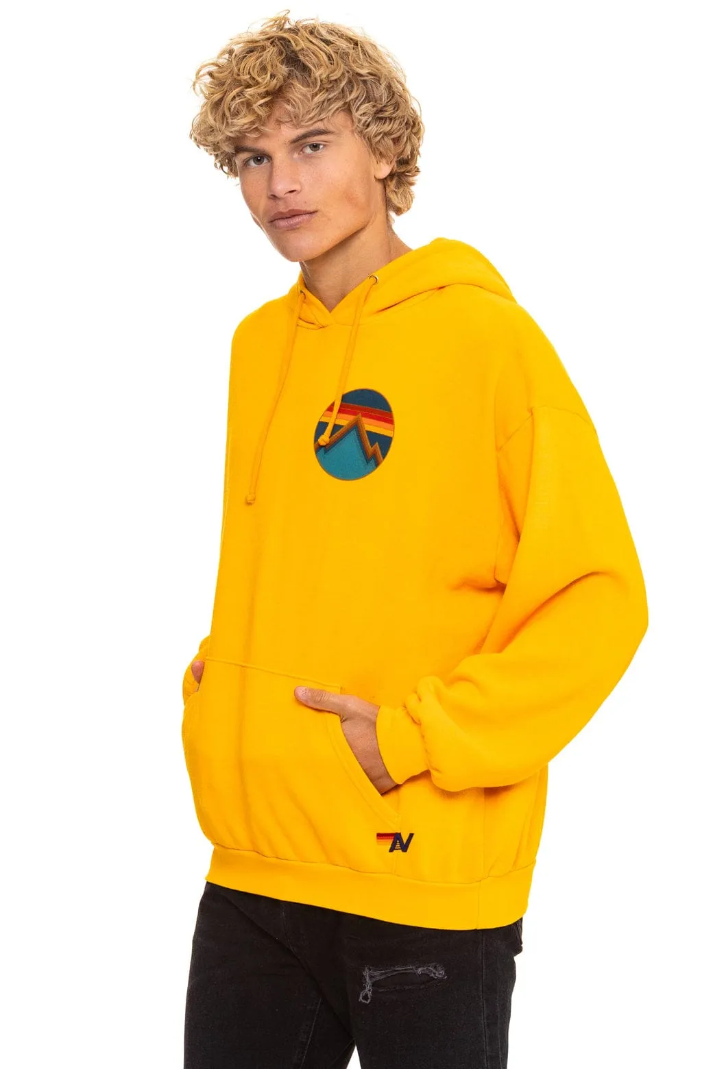 ALL SEASONS RELAXED PULLOVER HOODIE - GOLD sold by Aviator Nation product image thumbnail 4