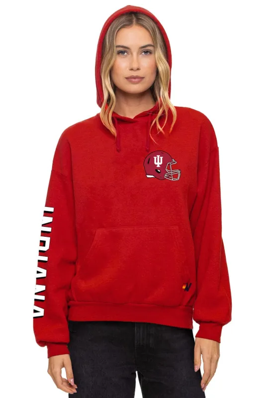 INDIANA UNIVERSITY 2025 CHAMPIONS RELAXED PULLOVER HOODIE - CRIMSON made by Aviator Nation
