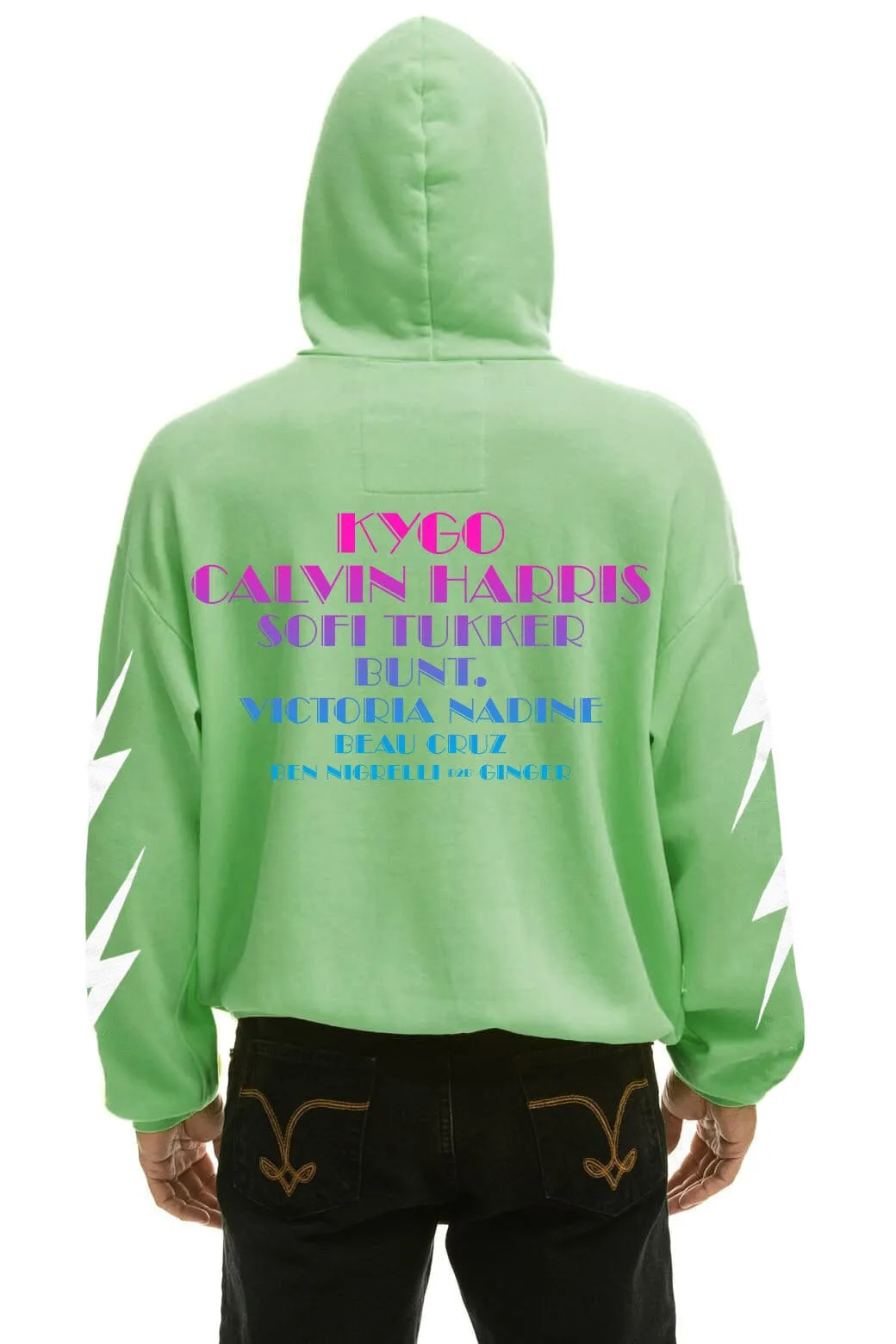 PALM TREE FEST WEST PALM 2026 PULLOVER HOODIE RELAXED - NEON MINT sold by Aviator Nation product image thumbnail 4