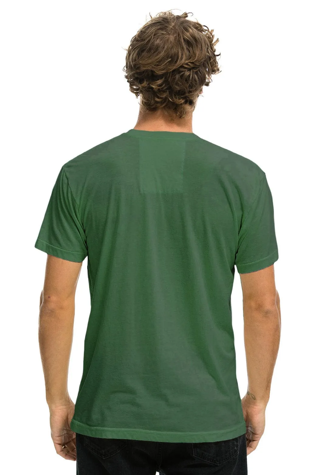 PALM TREE FEST ASPEN 2026 CREW TEE SHIRT - PALM sold by Aviator Nation product image thumbnail 3