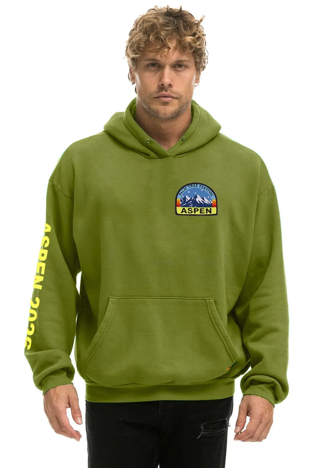 PALM TREE FEST ASPEN 2026 PULLOVER HOODIE RELAXED - JUNGLE GREEN sold by Aviator Nation product image thumbnail 3