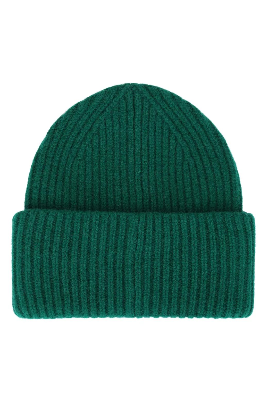 PALM TREE FESTIVAL ASPEN 2026 MERINO WOOL BEANIE - KELLY GREEN sold by Aviator Nation product image thumbnail 2