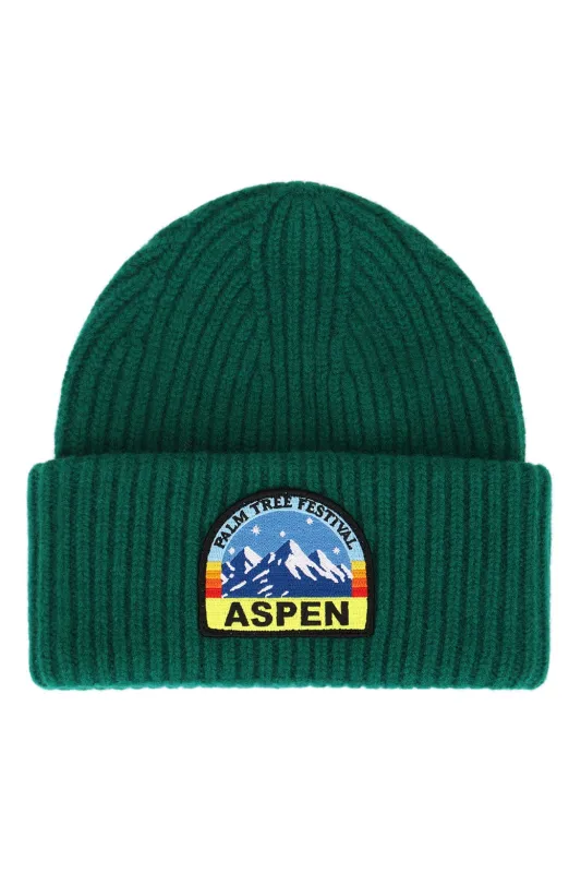 PALM TREE FESTIVAL ASPEN 2026 MERINO WOOL BEANIE - KELLY GREEN made by Aviator Nation