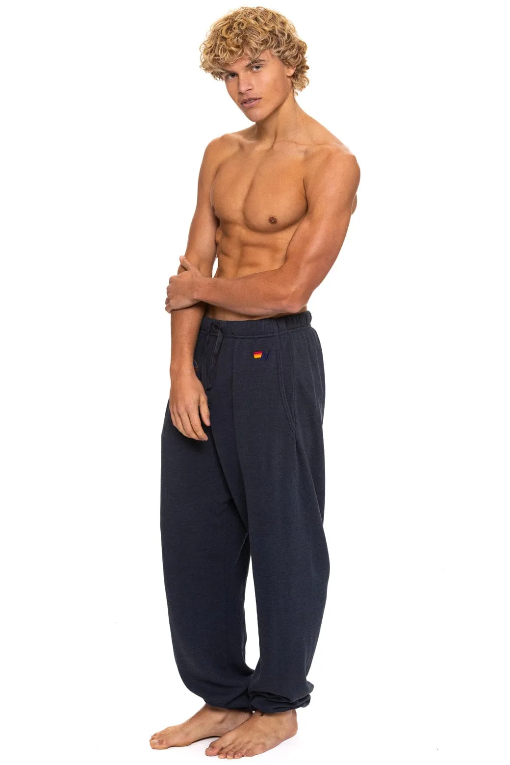 ALL SEASONS CIRCLE SWEATPANTS - CHARCOAL sold by Aviator Nation product image thumbnail 5