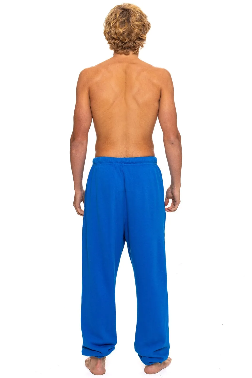 LOGO SWEATPANTS - ADVENTURE BLUE sold by Aviator Nation product image thumbnail 5