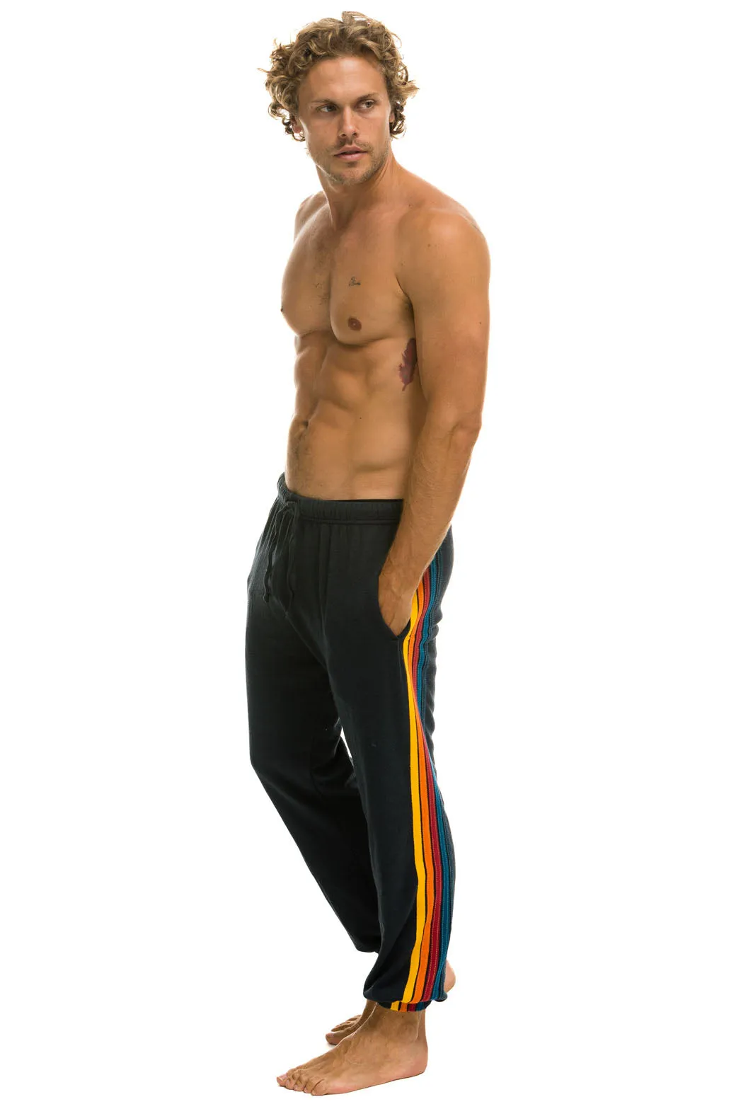 5 STRIPE SWEATPANTS - CHARCOAL sold by Aviator Nation
