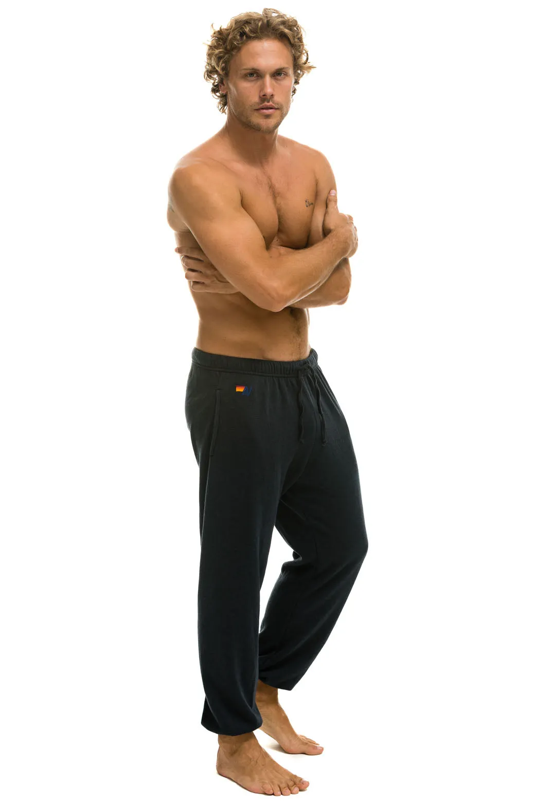 5 STRIPE SWEATPANTS - CHARCOAL sold by Aviator Nation product image thumbnail 3