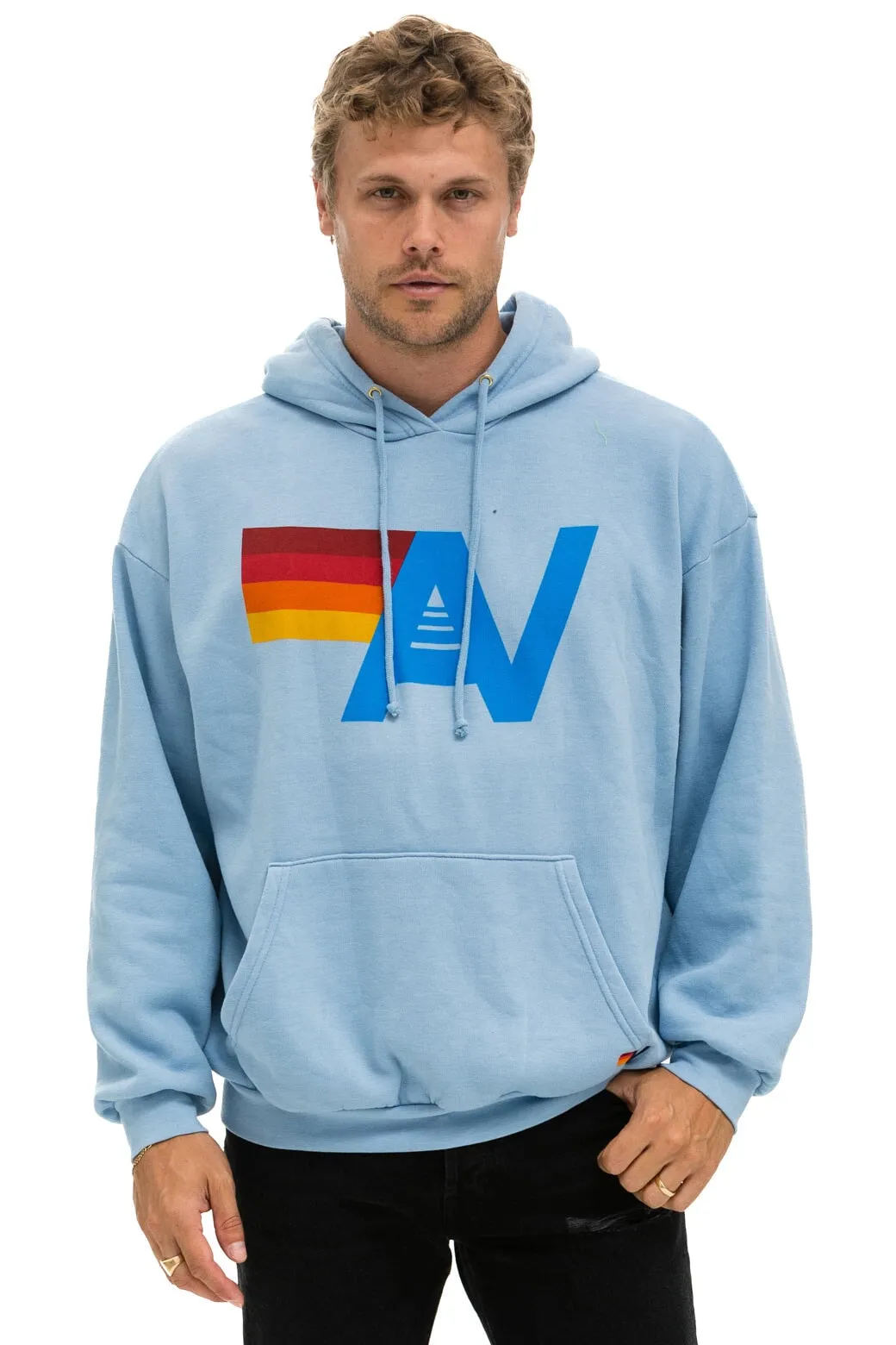 LOGO PULLOVER RELAXED HOODIE - ICE sold by Aviator Nation product image thumbnail 2