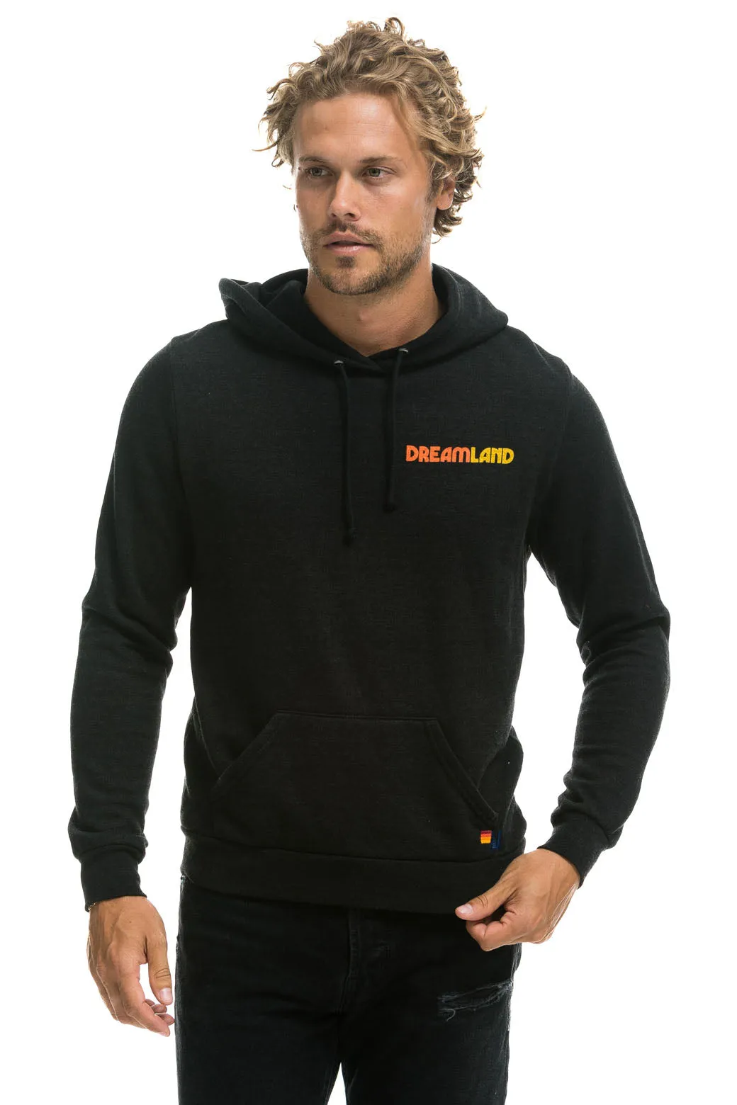 DREAMLAND LOGO PULLOVER HOODIE - BLACK sold by Aviator Nation product image thumbnail 4