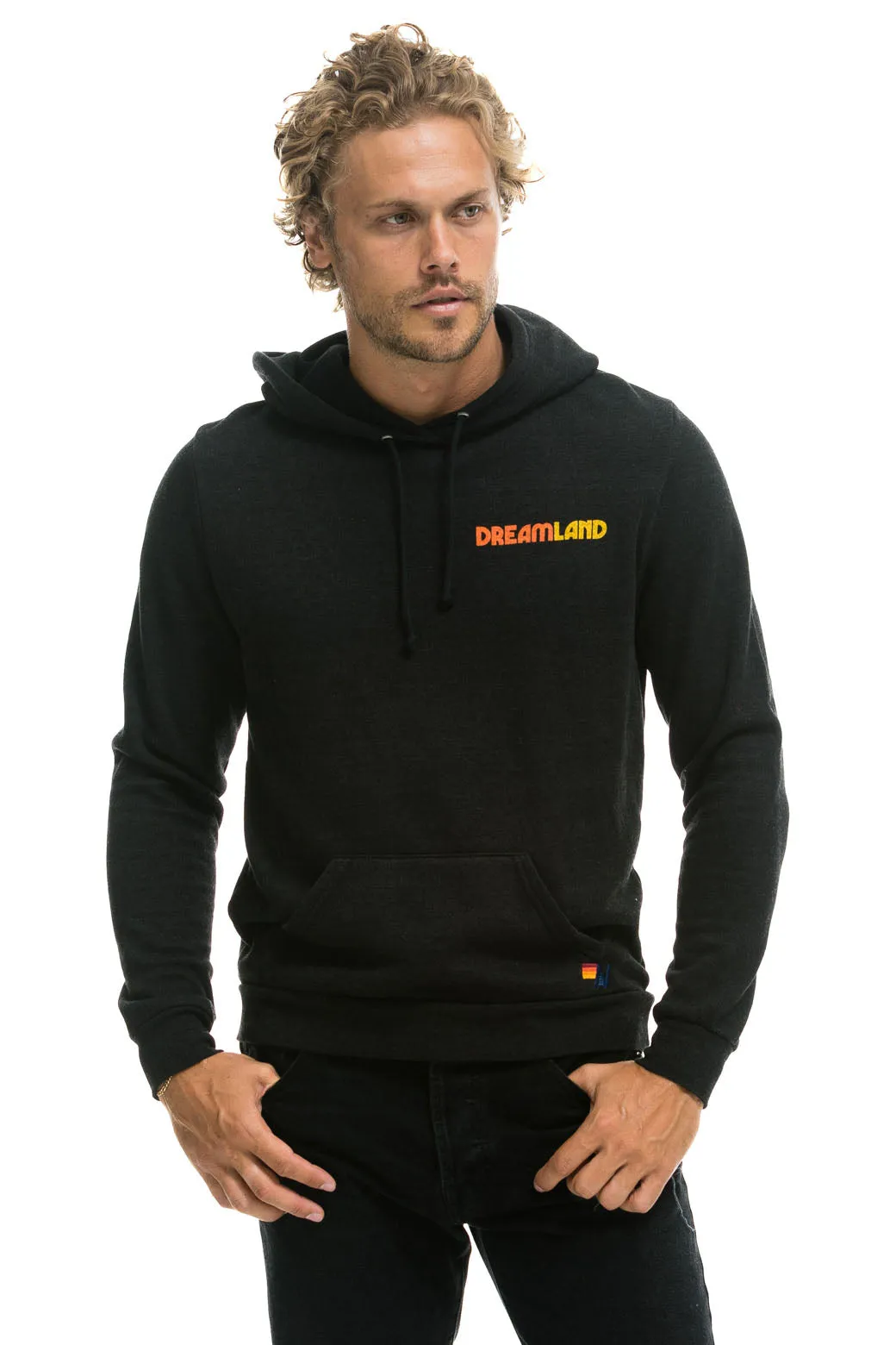 DREAMLAND LOGO PULLOVER HOODIE - BLACK sold by Aviator Nation product image thumbnail 2
