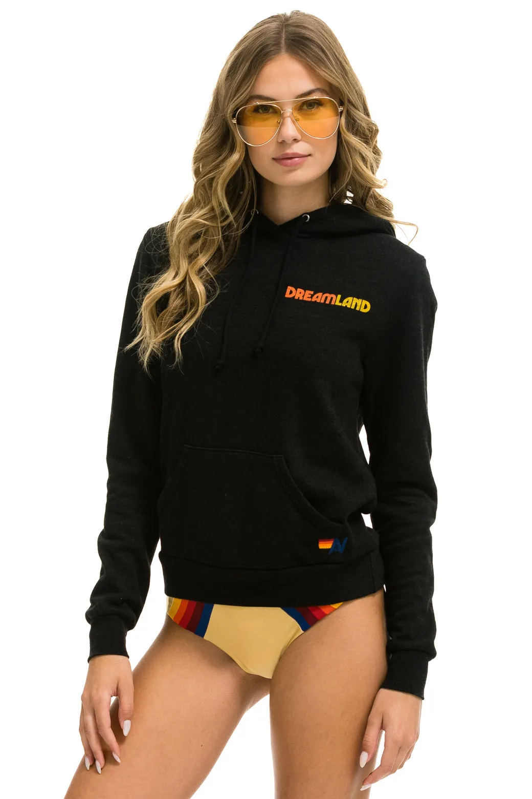 DREAMLAND LOGO PULLOVER HOODIE - BLACK sold by Aviator Nation product image thumbnail 3