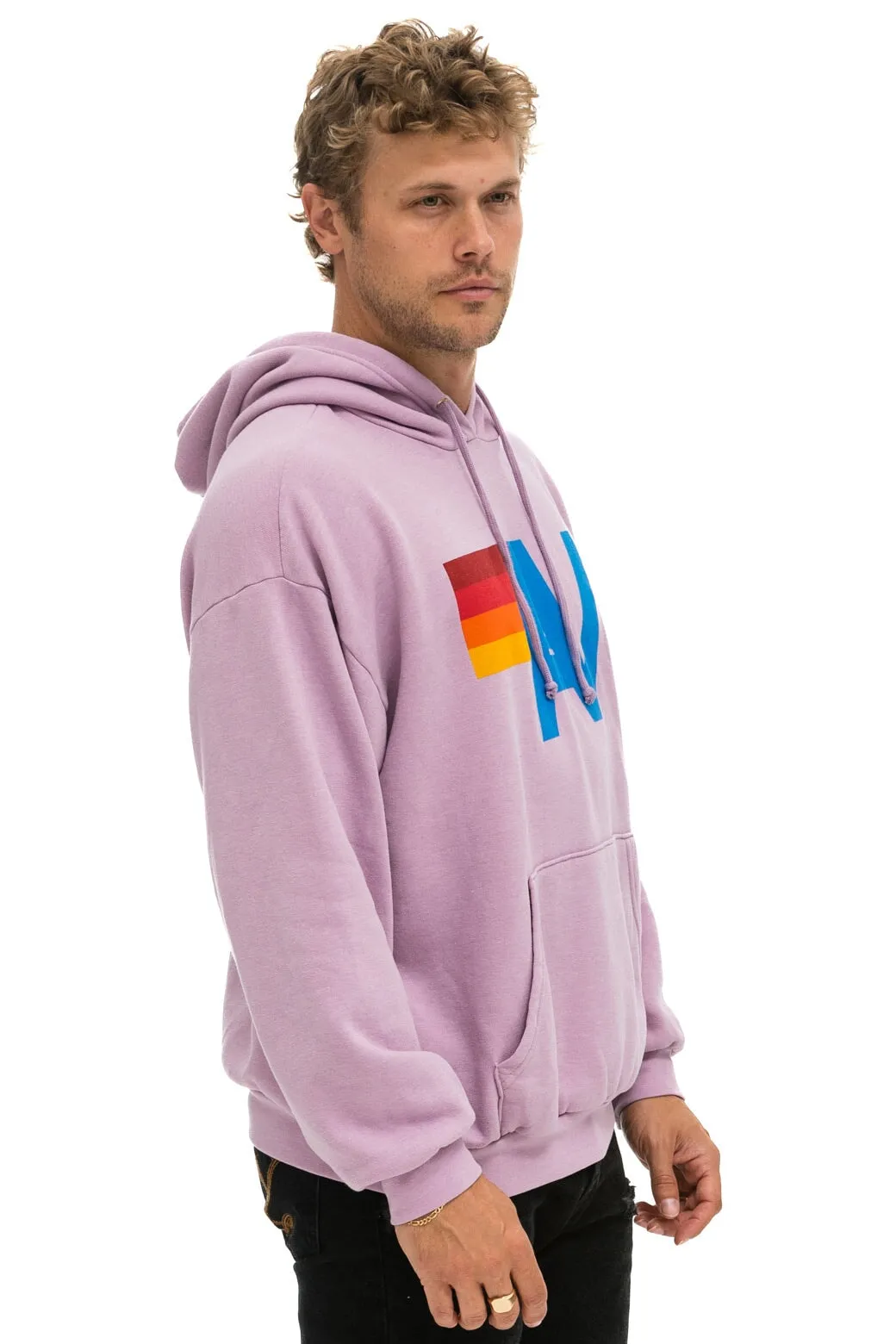 LOGO PULLOVER RELAXED HOODIE - MAUVE sold by Aviator Nation product image thumbnail 4