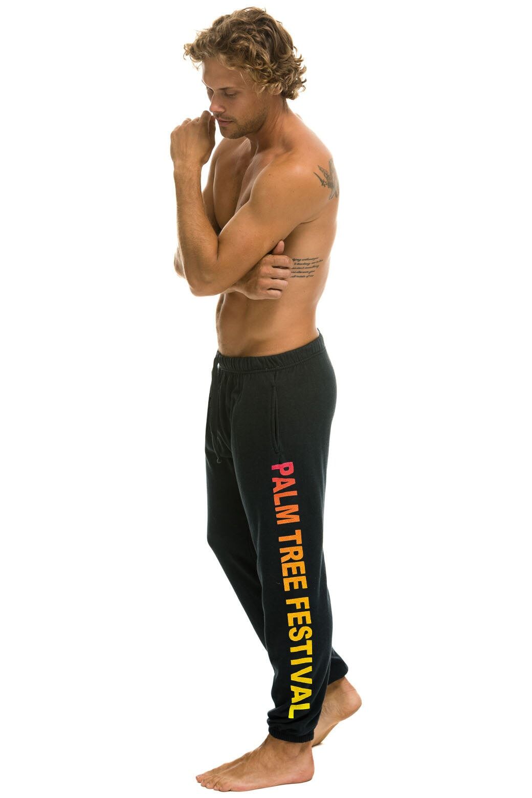 PALM TREE FESTIVAL ASPEN 2024 MENS SWEATPANTS - CHARCOAL sold by Aviator Nation product image thumbnail 2