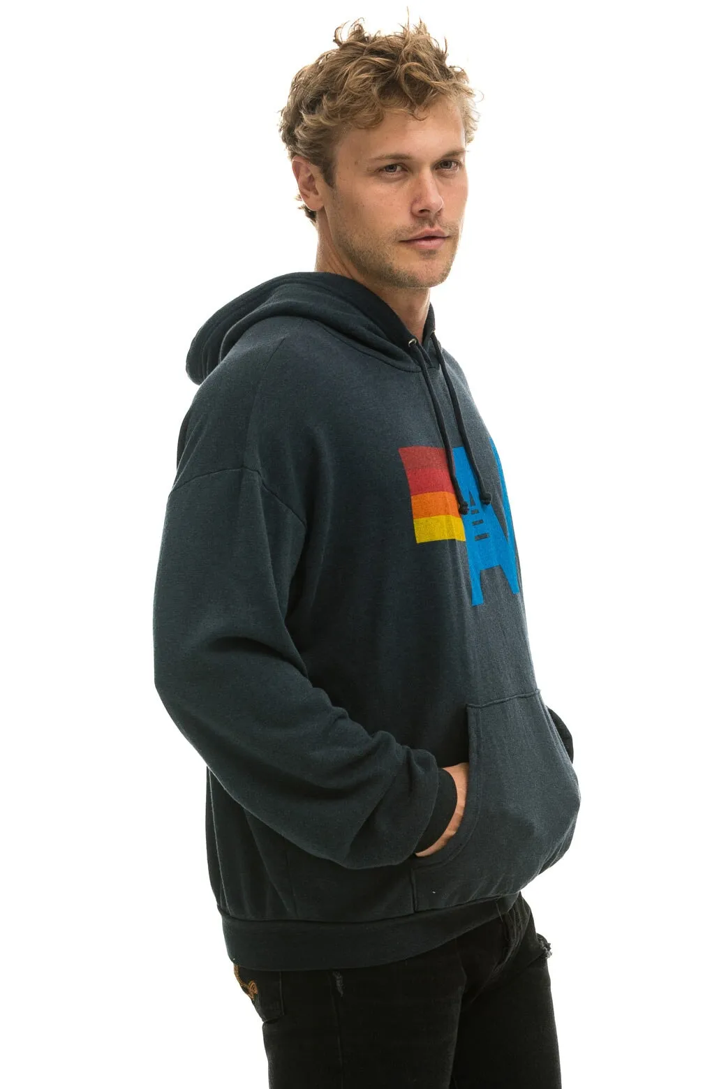 LOGO PULLOVER RELAXED HOODIE - CHARCOAL sold by Aviator Nation product image thumbnail 4