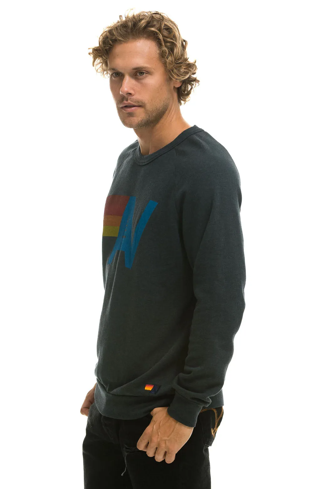 LOGO SWEATSHIRT - CHARCOAL sold by Aviator Nation product image thumbnail 4