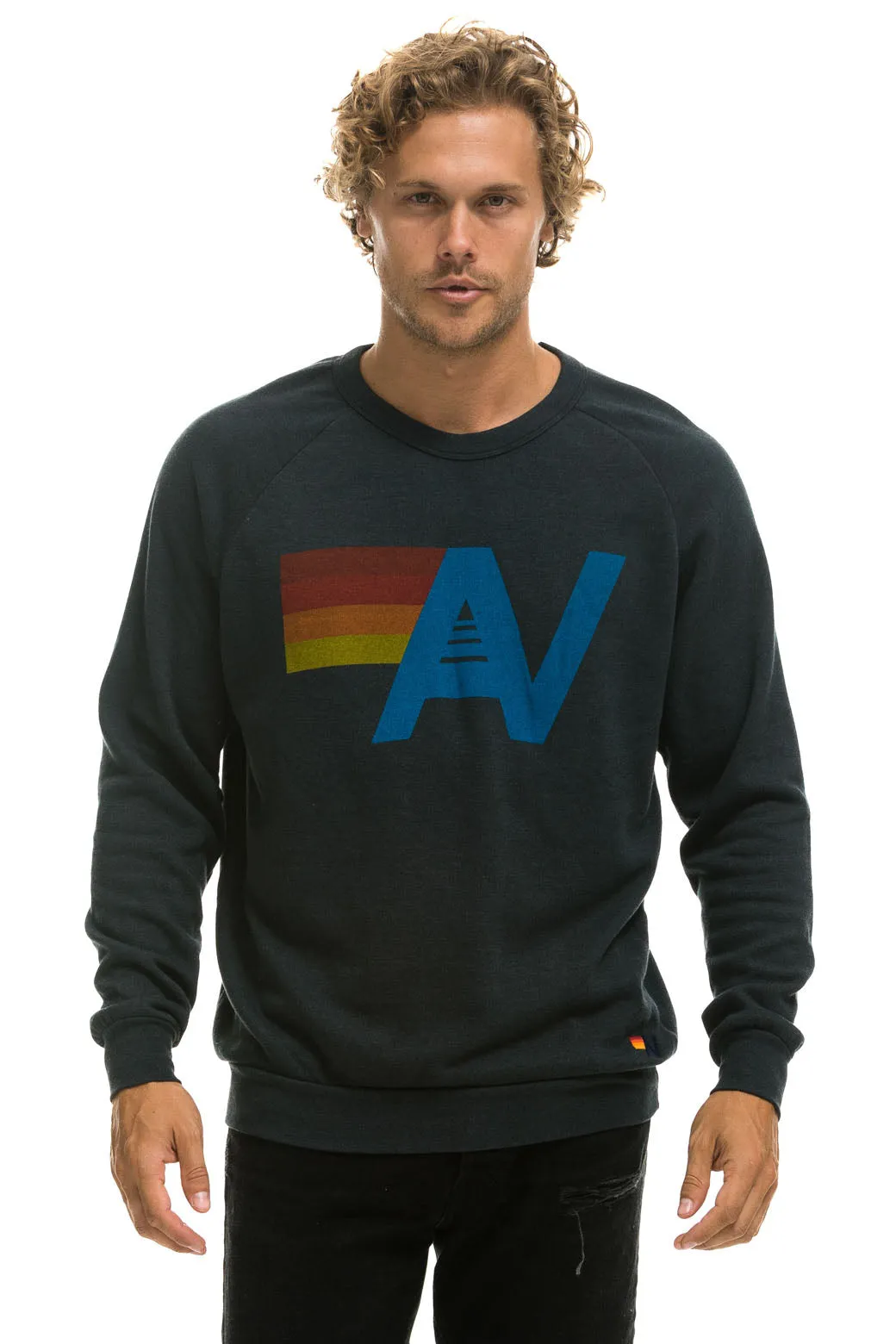 LOGO SWEATSHIRT - CHARCOAL sold by Aviator Nation product image thumbnail 2