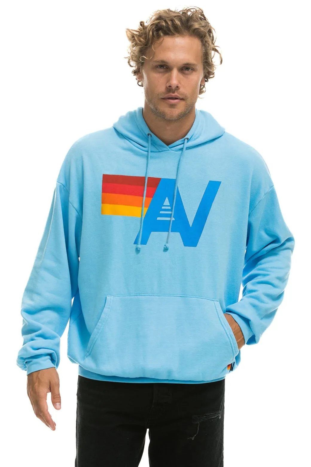 LOGO PULLOVER RELAXED HOODIE - SKY sold by Aviator Nation product image thumbnail 2