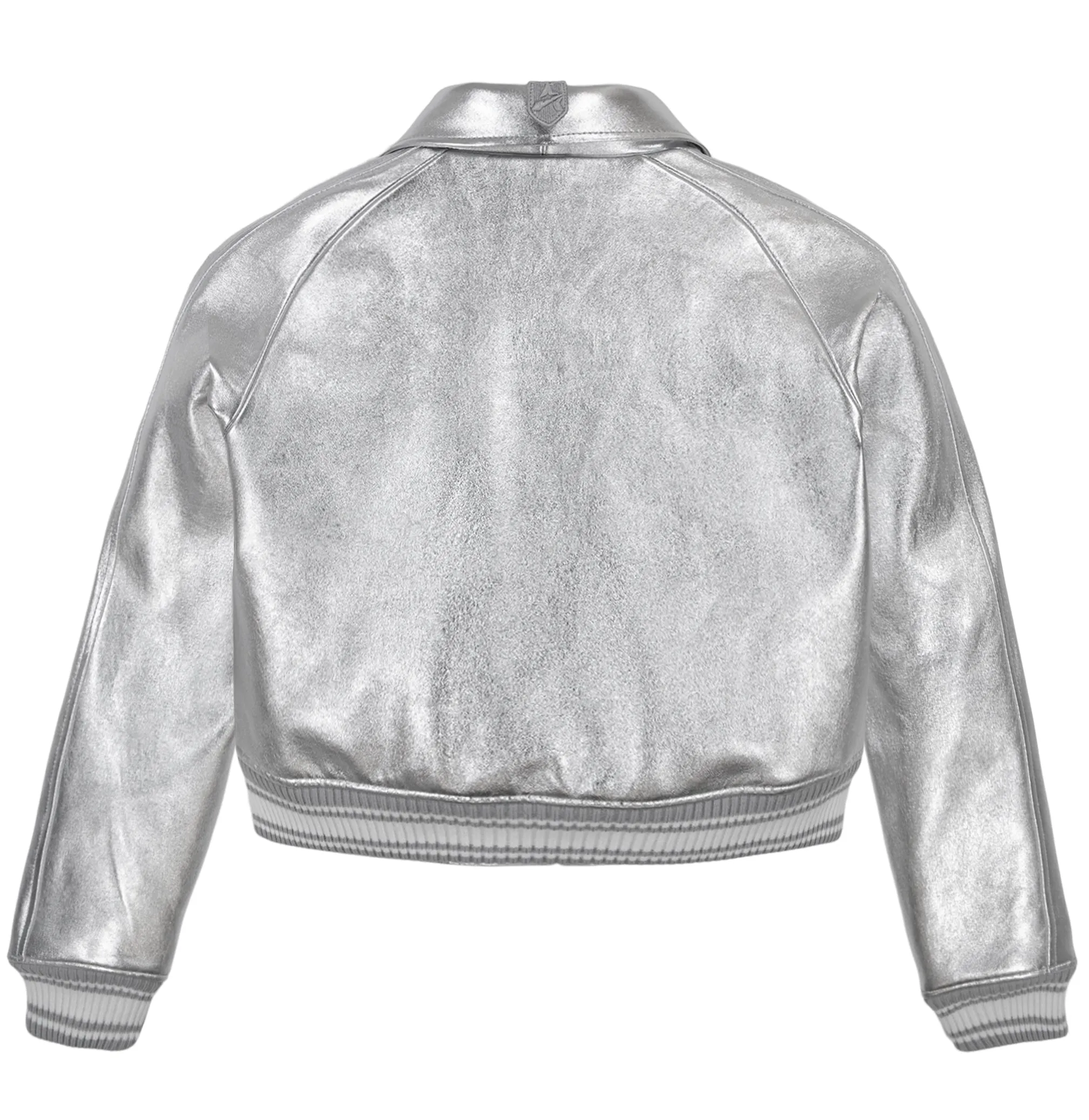 LIMITED EDITION CROPPED METALLIC ICON JACKET sold by Avirex product image thumbnail 2