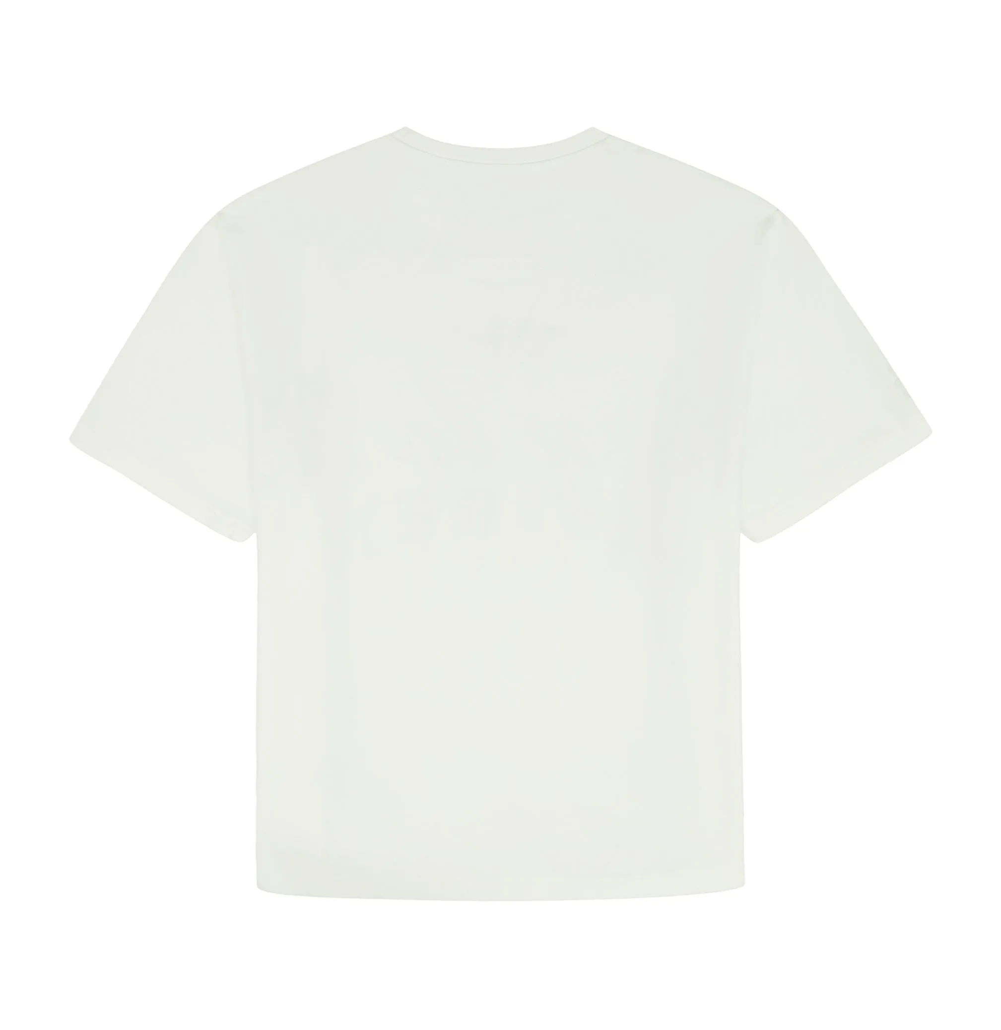 BORN TO FLY TEE sold by Avirex product image thumbnail 2