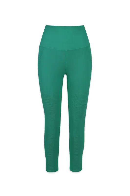 Winter Phoenix Fire Legging sold by avocado