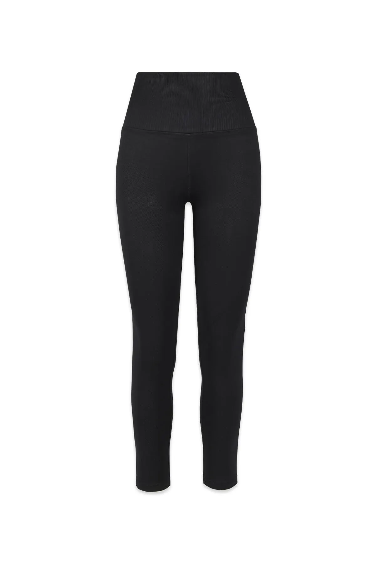 Universal Legging sold by avocado