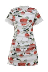 Rose Printed Mini Dress sold by AX Paris