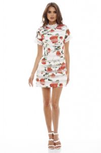 Rose Printed Mini Dress sold by AX Paris