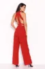 Red Sheer Paneled Jumpsuit With Cut Out Detailing sold by AX Paris